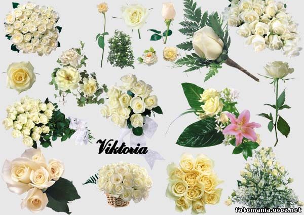 <img
src="http://www.fotomania.ucoz.net/Klipart/aa00.jpg"
border="0" alt="" />