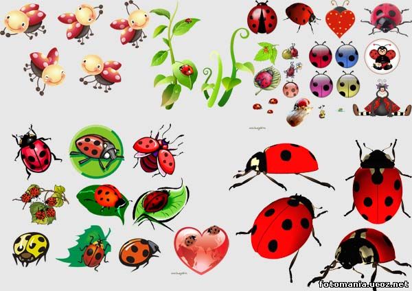 <img
src="http://www.fotomania.ucoz.net/Klipart/aa000.jpg"
border="0" alt="" />