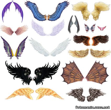 <img
src="http://fotomania.ucoz.net/Klipart/zak140_.jpg"
border="0" alt="" />