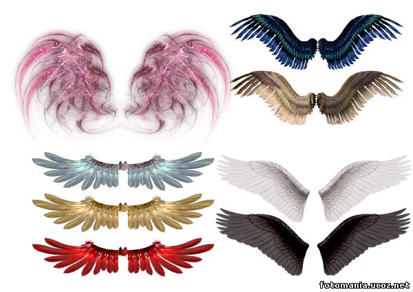 <img
src="http://fotomania.ucoz.net/Klipart/zak141_.jpg"
border="0" alt="" />