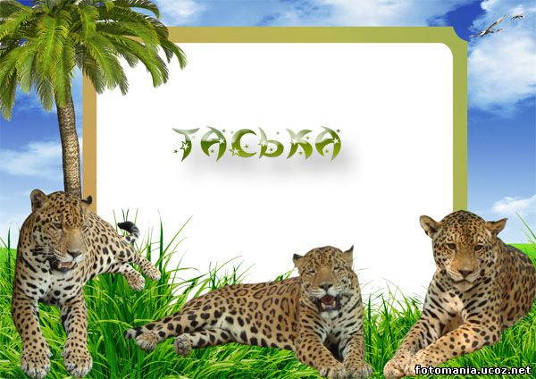 <img
src="http://fotomania.ucoz.net/Ramki/detskie/zak23_.jpg"
border="0" alt="" />