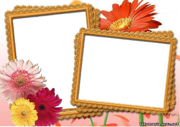 <img
src="http://fotomania.ucoz.net/Ramki/raznie/0086790.jpg"
border="0" alt="" />