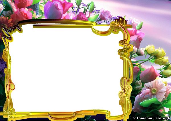 <img
src="http://fotomania.ucoz.net/Ramki/raznie/cveti00.jpg"
border="0" alt="" />