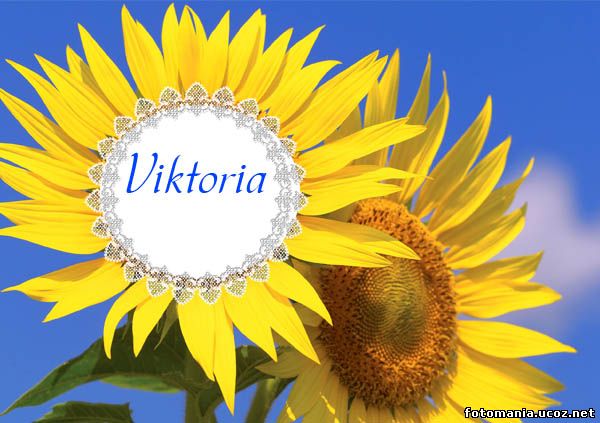 <img
src="http://fotomania.ucoz.net/Ramki/raznie/zak175_.jpg"
border="0" alt="" />