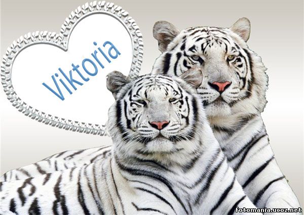 <img
src="http://fotomania.ucoz.net/Ramki/raznie/zak22_.jpg"
border="0" alt="" />
