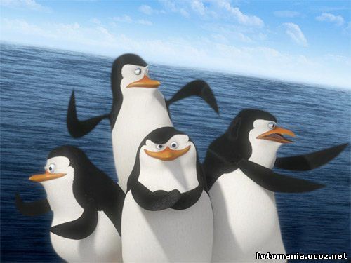 <img
src="http://fotomania.ucoz.net/videouroki/122.jpg"
border="0" alt="" />