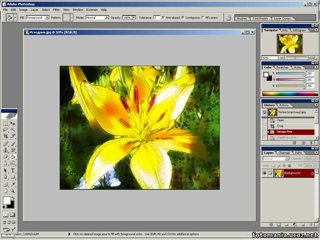<img
src="http://fotomania.ucoz.net/videouroki/lesson2.jpg"
border="0" alt="" />